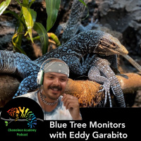 Blue Tree Monitors with Eddy Garabito