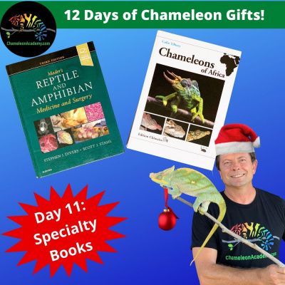 Chameleon Breeder Podcast With Bill Strand