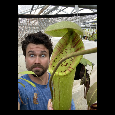Chameleon Breeder Podcast With Bill Strand