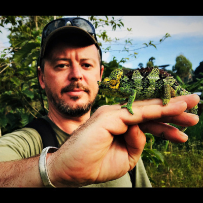Chameleon Breeder Podcast With Bill Strand