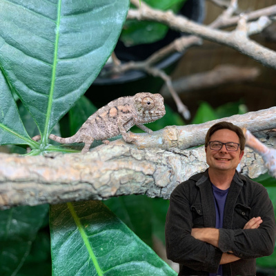 Chameleon Breeder Podcast With Bill Strand