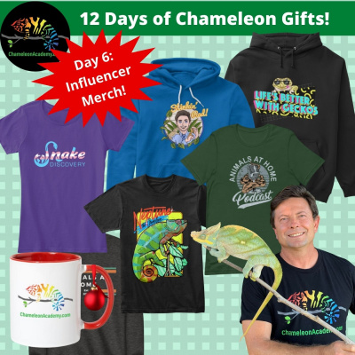 Chameleon Breeder Podcast With Bill Strand