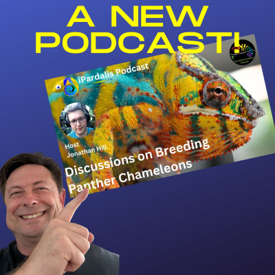 Chameleon Breeder Podcast With Bill Strand