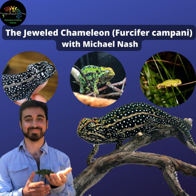 Chameleon Breeder Podcast With Bill Strand