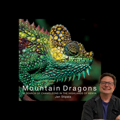 Chameleon Breeder Podcast With Bill Strand