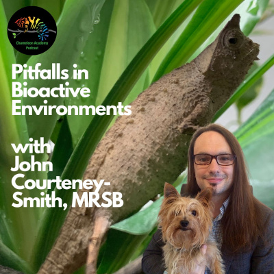 Chameleon Breeder Podcast With Bill Strand