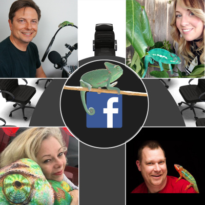 Chameleon Breeder Podcast With Bill Strand