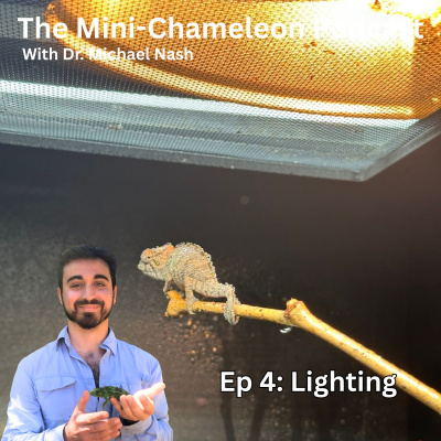 Chameleon Breeder Podcast With Bill Strand