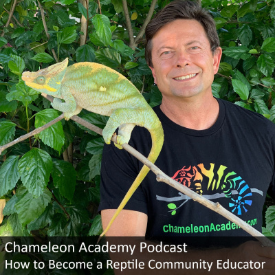 Chameleon Breeder Podcast With Bill Strand