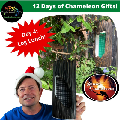 Chameleon Breeder Podcast With Bill Strand