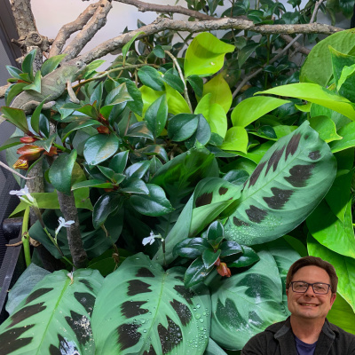 Chameleon Breeder Podcast With Bill Strand