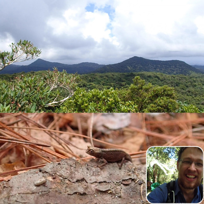 Chameleon Breeder Podcast With Bill Strand