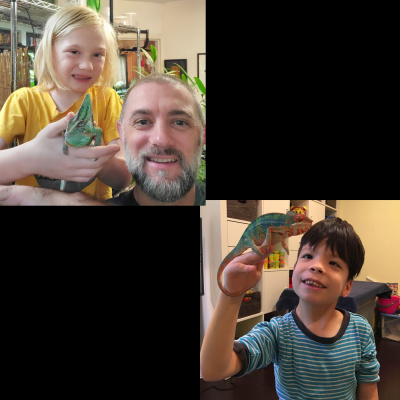 Chameleon Breeder Podcast With Bill Strand