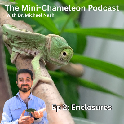 Chameleon Breeder Podcast With Bill Strand