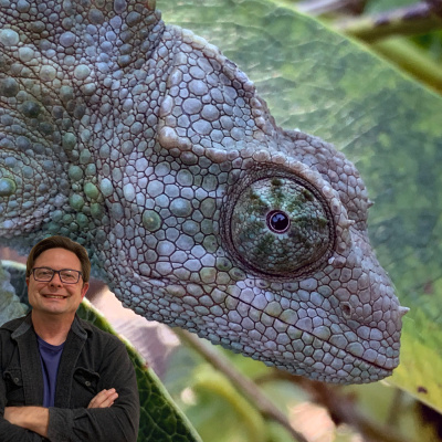 Chameleon Breeder Podcast With Bill Strand