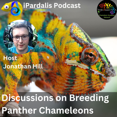Chameleon Breeder Podcast With Bill Strand