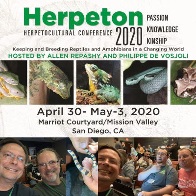 Chameleon Breeder Podcast With Bill Strand