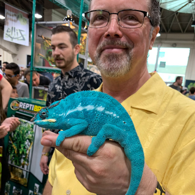 Chameleon Breeder Podcast With Bill Strand