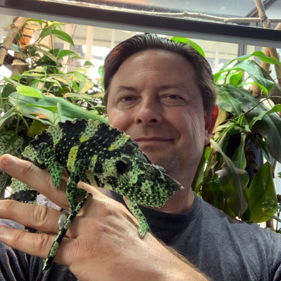 Chameleon Breeder Podcast With Bill Strand