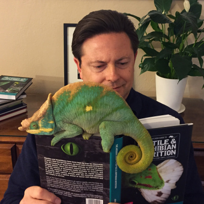 Chameleon Breeder Podcast With Bill Strand
