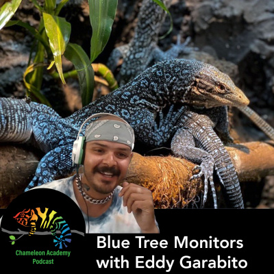 Chameleon Breeder Podcast With Bill Strand