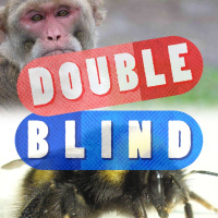 Wired Minds And The Bees’ Needs