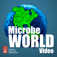 MWV 111 (audio only) TWiM live at Microbe: Rigor, lotteries, and moonshots 