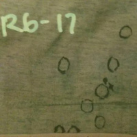 Episode 219 - David Camm Case - Part 2