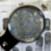 Episode 124 - Making a Murderer Questions