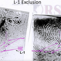 Extra Episode 01 - Dandridge Comparisons