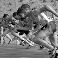 Episode 254 - NIST Latent Accuracy