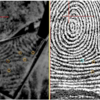 Episode 193 - Fingerprints for Investigative Leads