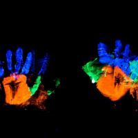 Episode 213 - Anouk de Ronde Interview