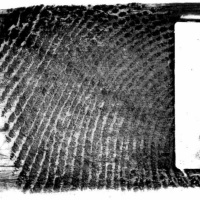 Episode 180 - IAI Recertification Test