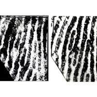 Episode 288 - Close Non-matches