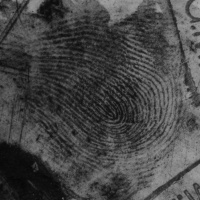 Episode 251 - Alan McNamara Case - Part 2