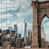 Episode 227 - NY Firearms Case