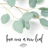 Episode 194 - Melting Pot of Topics