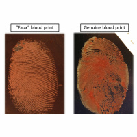 Episode 263 - Caitlin Rough Interview