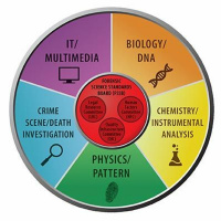 Episode 257 - Which Forensic Discipline Is The Most Reliable?