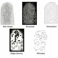 Episode 264 - Fingerprints Proven by AI to Not Be Unique!