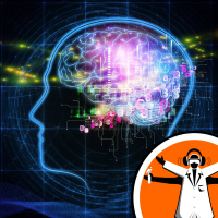 The smartest part of our brain