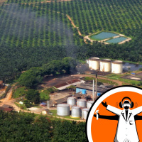 Packing plants with eco energy