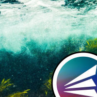 What climate change does to kelp forests