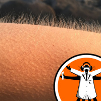 Goosebumps cause hair growth