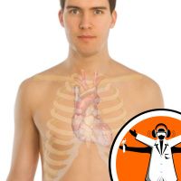 Think Heart - Pathology Week 2009