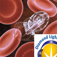 The Diamond Podcast - Life Science Special