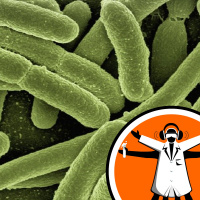 Cells reprogrammed to make synthetic polymers