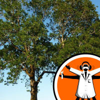 Trees for the Jubilee