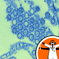 Cambridge Cafe Scientifique - Pandemics: Where Do New Infections Come From?